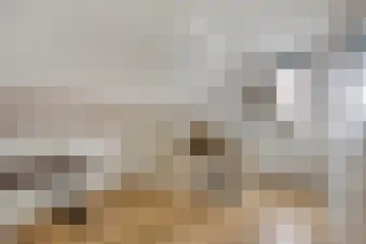 Prinsenhof 39 Harmelen thumbnail 28