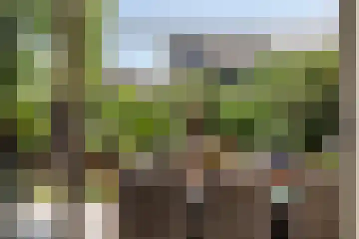 Prinsenhof 39 Harmelen thumbnail 31