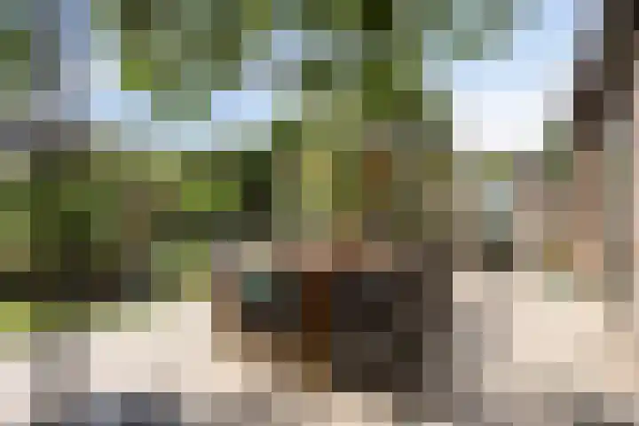 Prinsenhof 39 Harmelen thumbnail 32