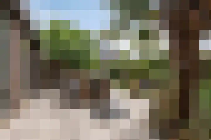 Prinsenhof 39 Harmelen thumbnail 33