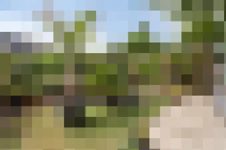 Prinsenhof 39 Harmelen thumbnail 34