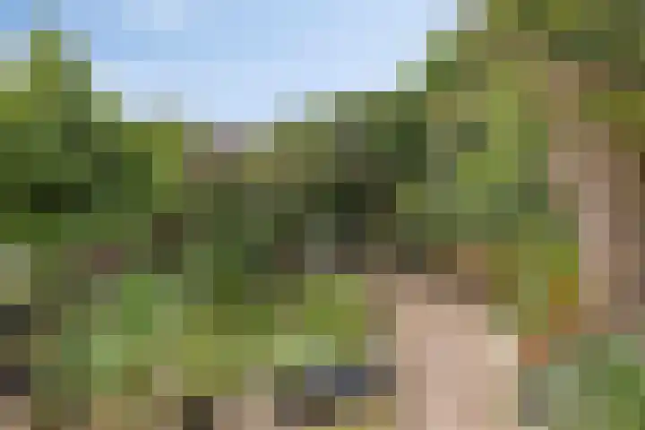 Prinsenhof 39 Harmelen thumbnail 35