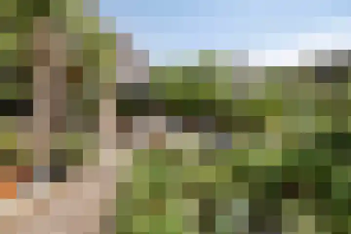 Prinsenhof 39 Harmelen thumbnail 36
