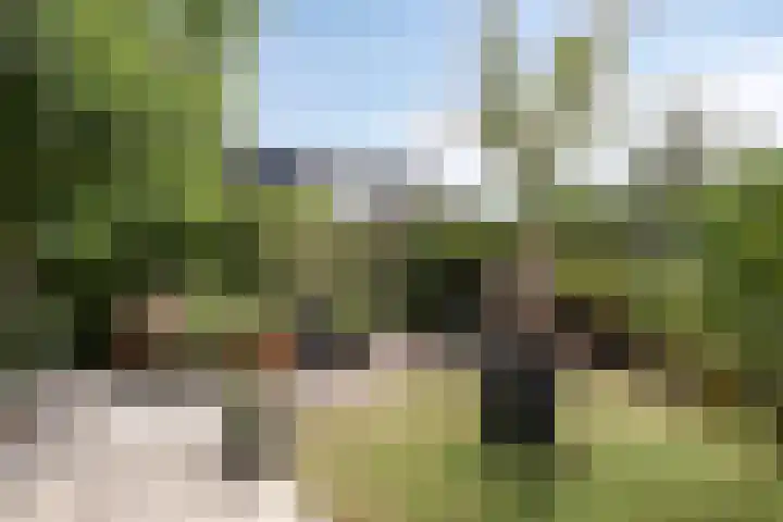Prinsenhof 39 Harmelen thumbnail 37
