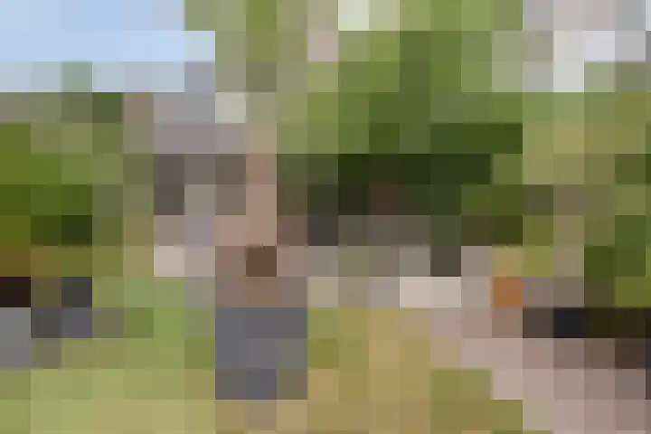 Prinsenhof 39 Harmelen thumbnail 38