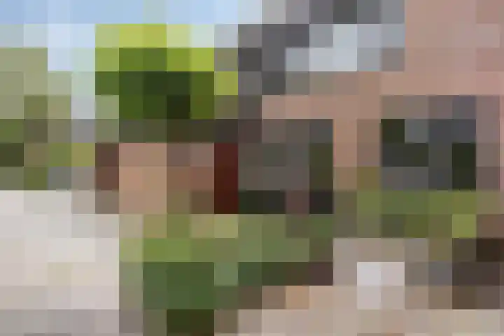 Prinsenhof 39 Harmelen thumbnail 41