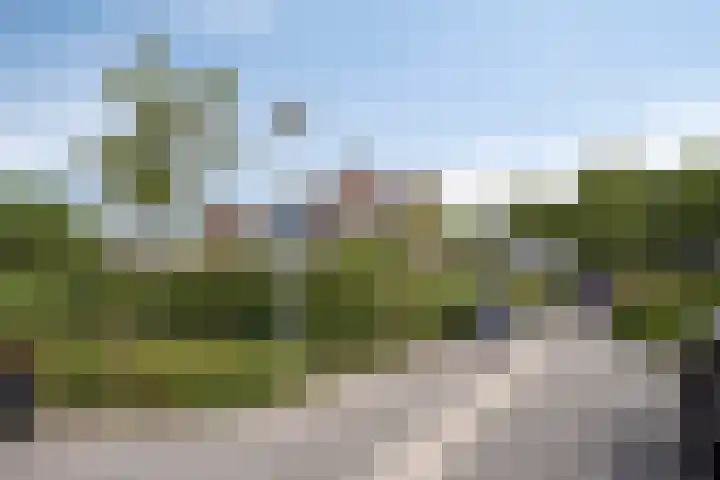 Prinsenhof 39 Harmelen thumbnail 43