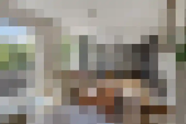 Prinsenhof 39 Harmelen thumbnail 5