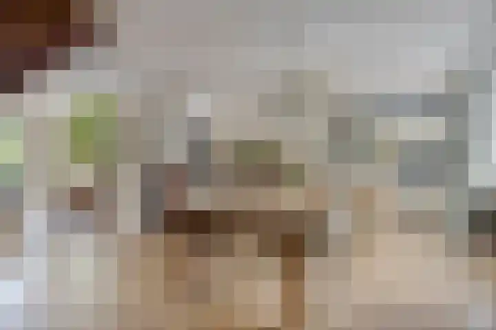 Prinsenhof 39 Harmelen thumbnail 8