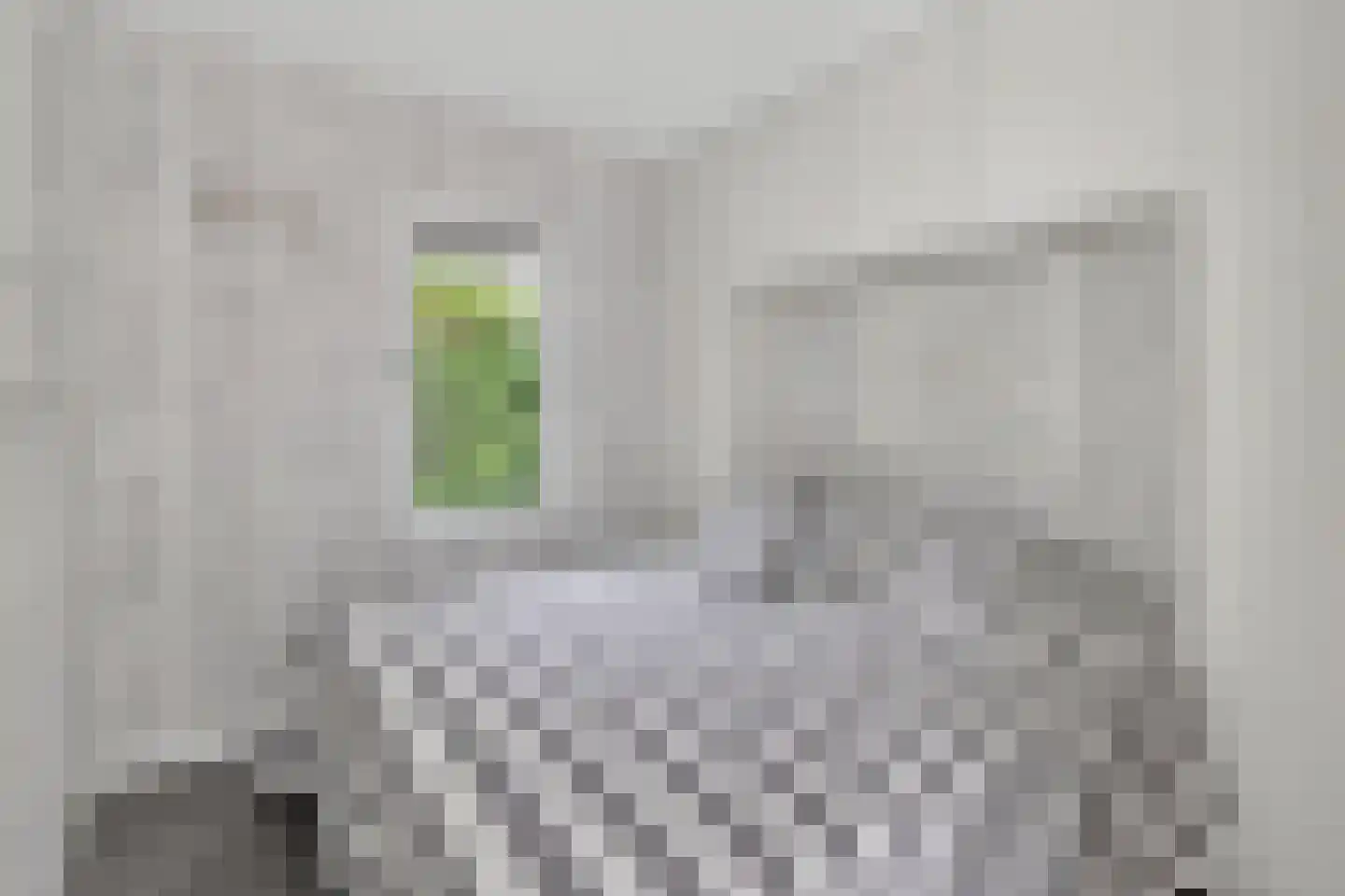 Prinsenhof 41 Ouddorp thumbnail 24