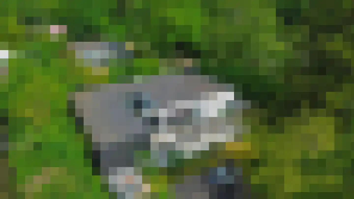 Prinsenhof 41 Ouddorp thumbnail 36