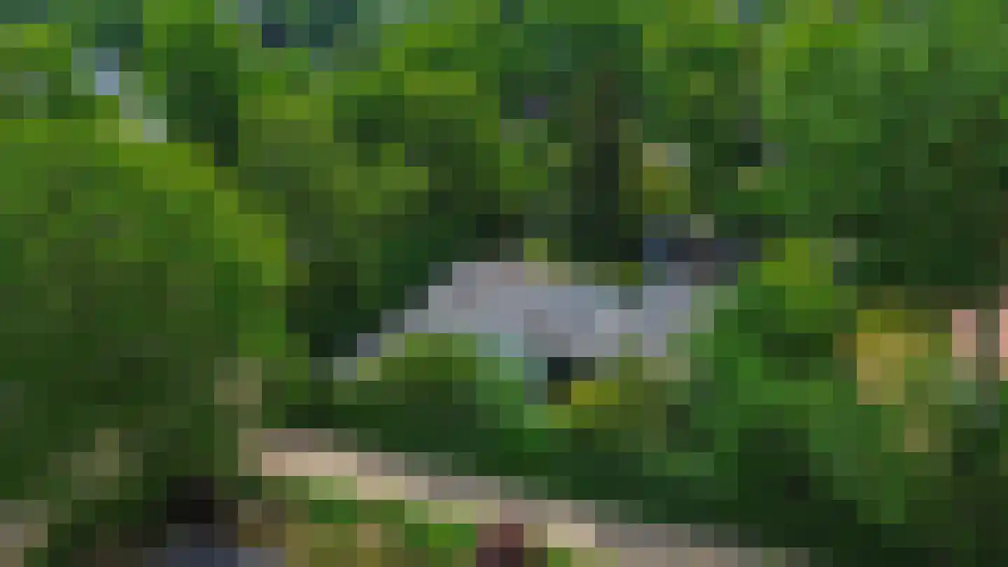 Prinsenhof 41 Ouddorp thumbnail 40