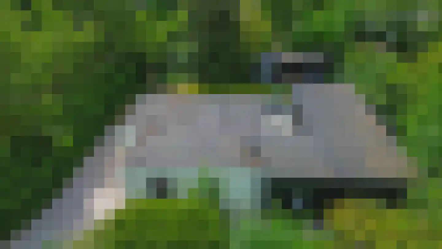 Prinsenhof 41 Ouddorp thumbnail 41