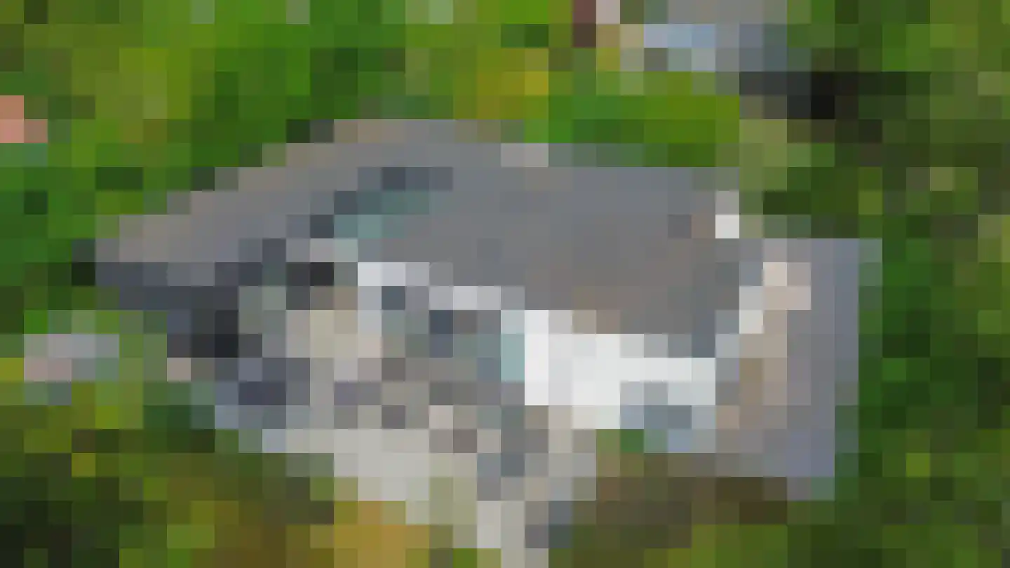 Prinsenhof 41 Ouddorp thumbnail 42
