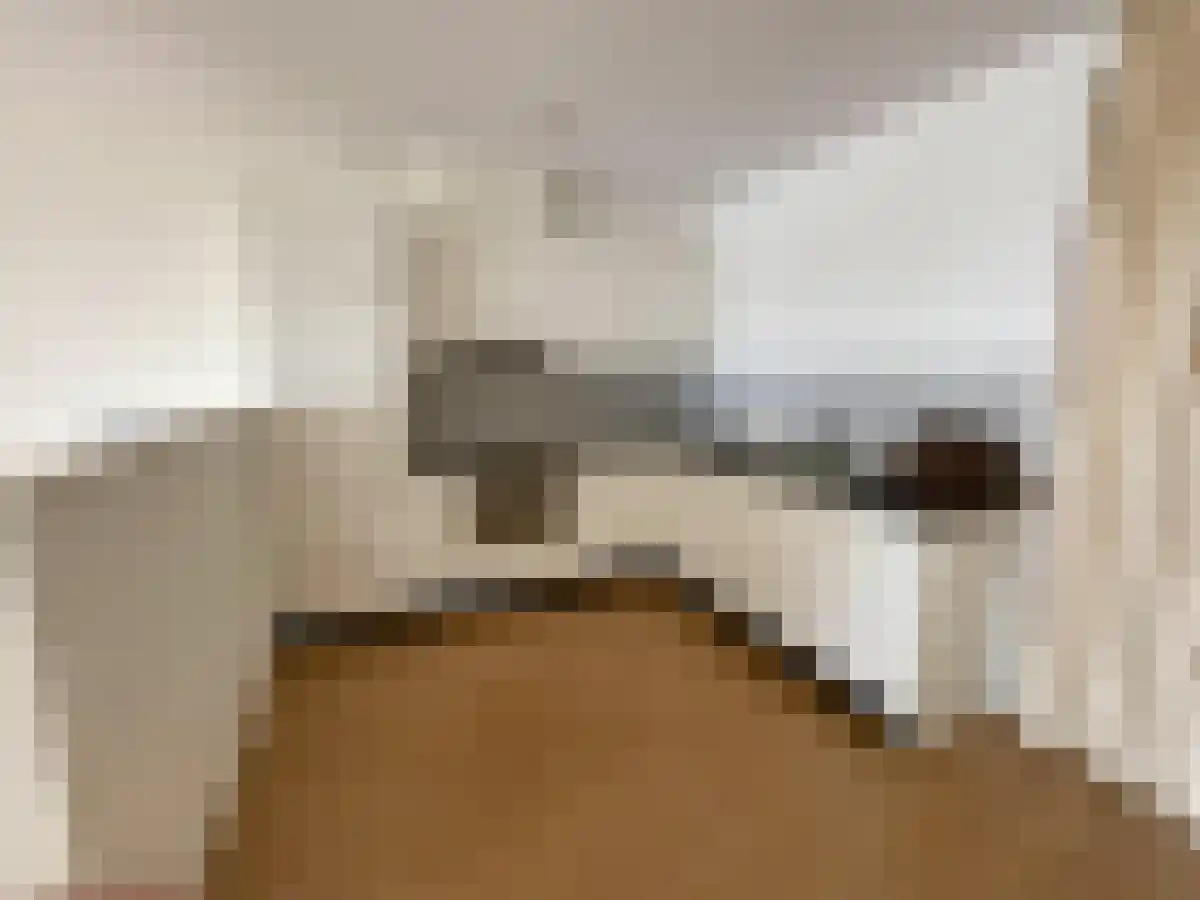 Prinsenhof 47 Leidschendam thumbnail 5
