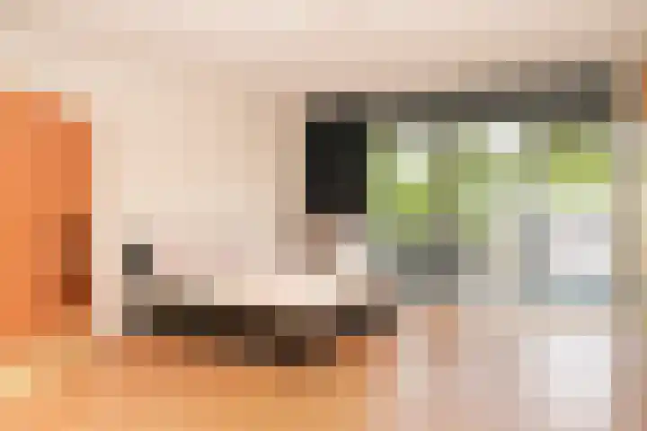 Prinsenhof 5 Geldermalsen thumbnail 18