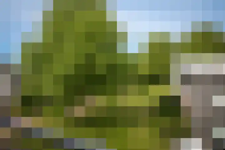 Prinsenhof 5 Geldermalsen thumbnail 21