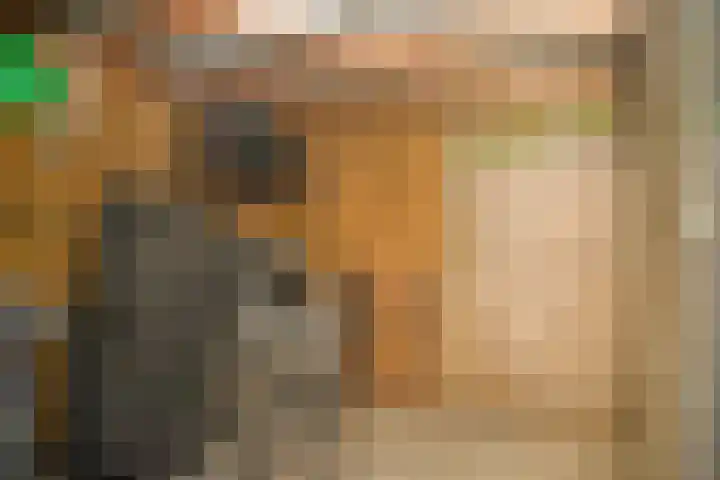 Prinsenhof 5 Geldermalsen thumbnail 27