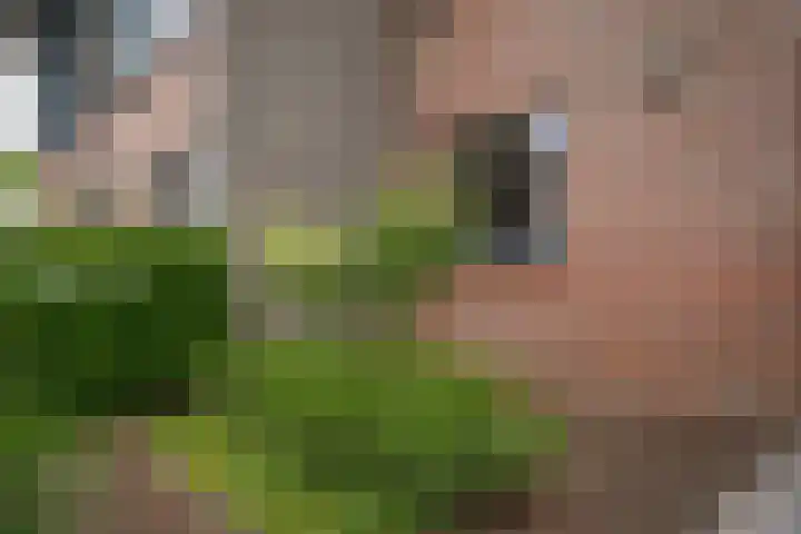 Prinsenhof 5 Geldermalsen thumbnail 29