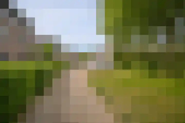 Prinsenhof 5 Geldermalsen thumbnail 30