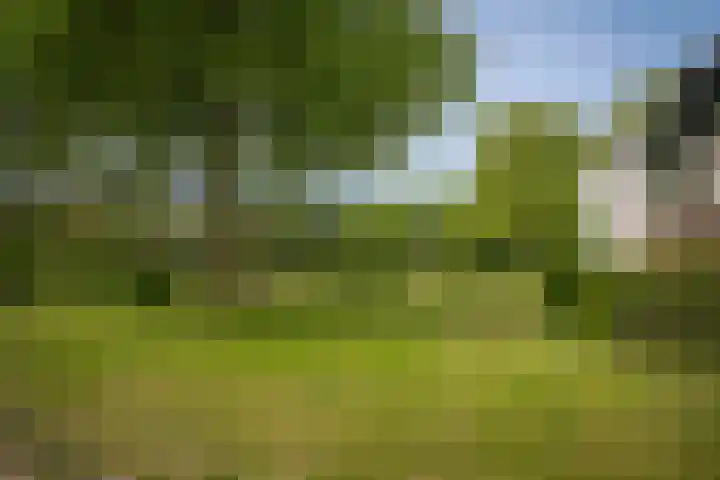 Prinsenhof 5 Geldermalsen thumbnail 32