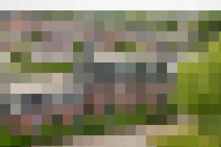 Prinsenhof 5 Geldermalsen thumbnail 33