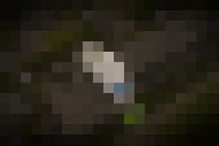 Prinsenhof 5 Geldermalsen thumbnail 34