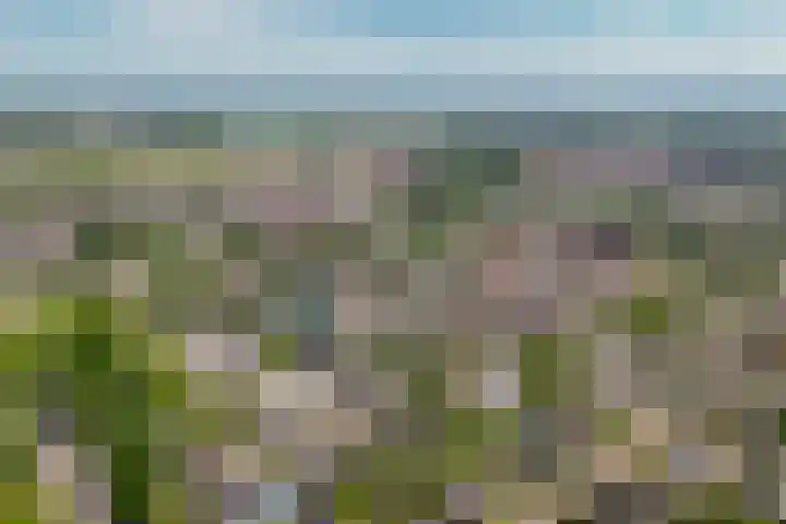 Prinsenhof 5 Geldermalsen thumbnail 35