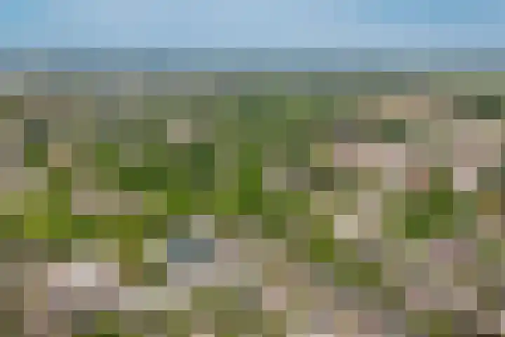 Prinsenhof 5 Geldermalsen thumbnail 36