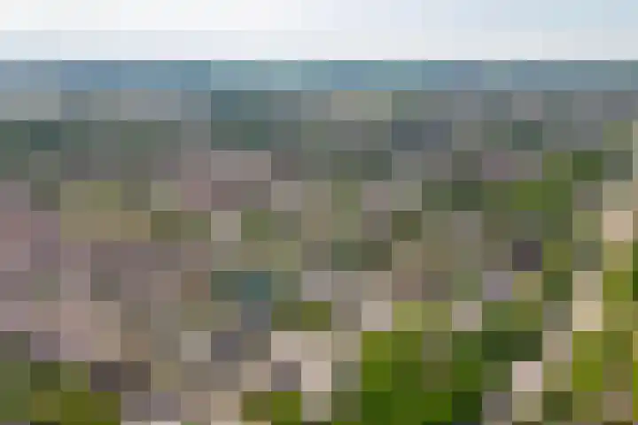 Prinsenhof 5 Geldermalsen thumbnail 37