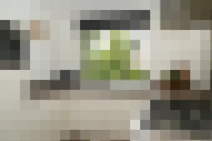 Prinsenhof 5 Geldermalsen thumbnail 9