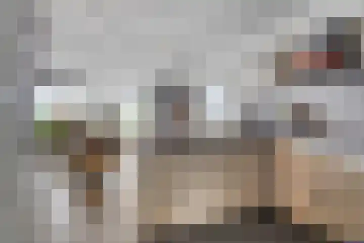 Prinsenhof 5 Heteren thumbnail 10