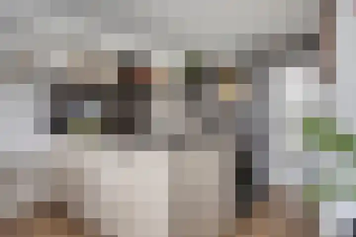 Prinsenhof 5 Heteren thumbnail 12