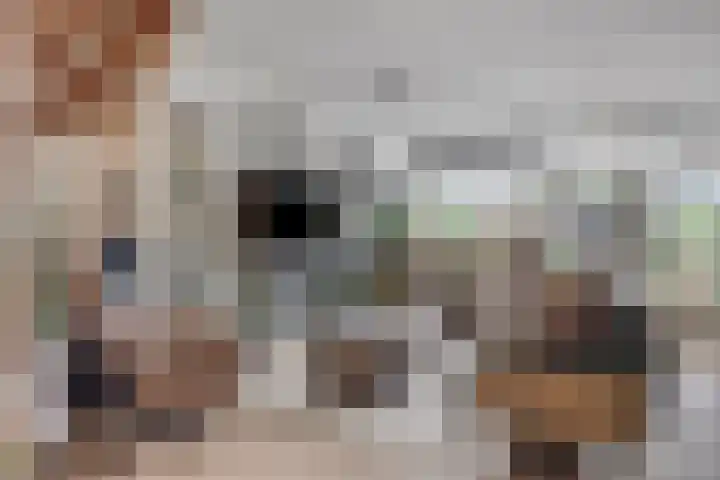 Prinsenhof 5 Heteren thumbnail 15