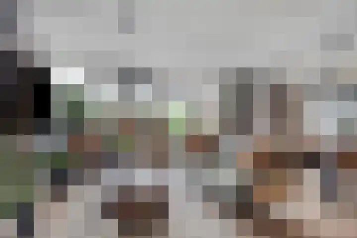 Prinsenhof 5 Heteren thumbnail 16