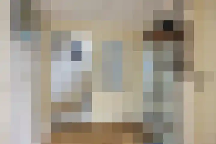 Prinsenhof 5 Heteren thumbnail 21