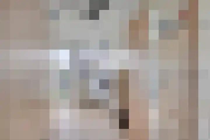 Prinsenhof 5 Heteren thumbnail 22