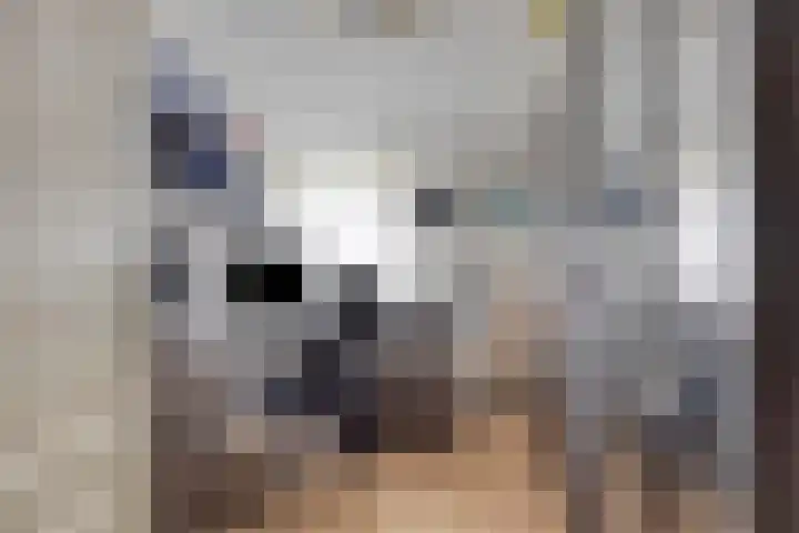 Prinsenhof 5 Heteren thumbnail 28