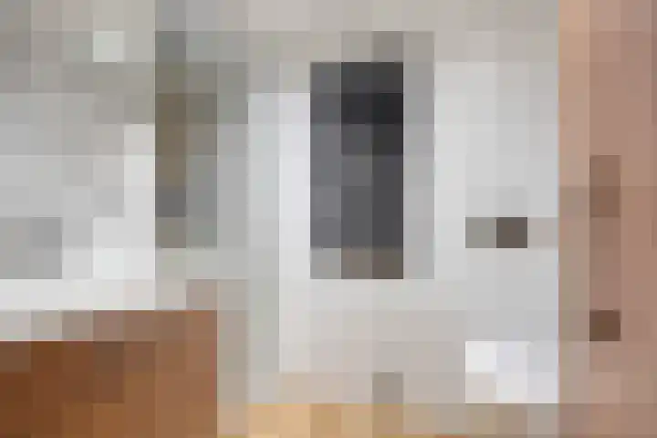 Prinsenhof 5 Heteren thumbnail 30