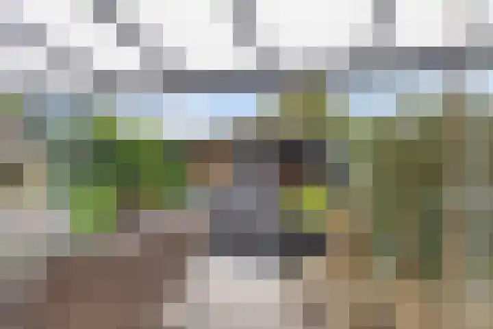 Prinsenhof 5 Heteren thumbnail 39
