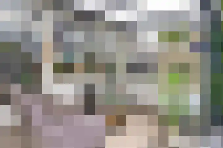 Prinsenhof 5 Heteren thumbnail 4