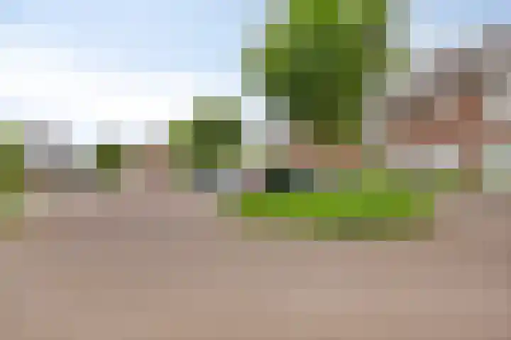 Prinsenhof 5 Heteren thumbnail 45