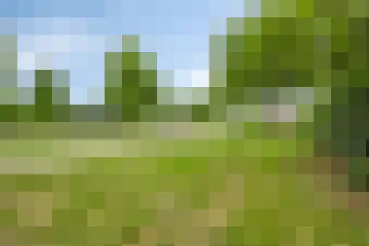 Prinsenhof 5 Heteren thumbnail 46