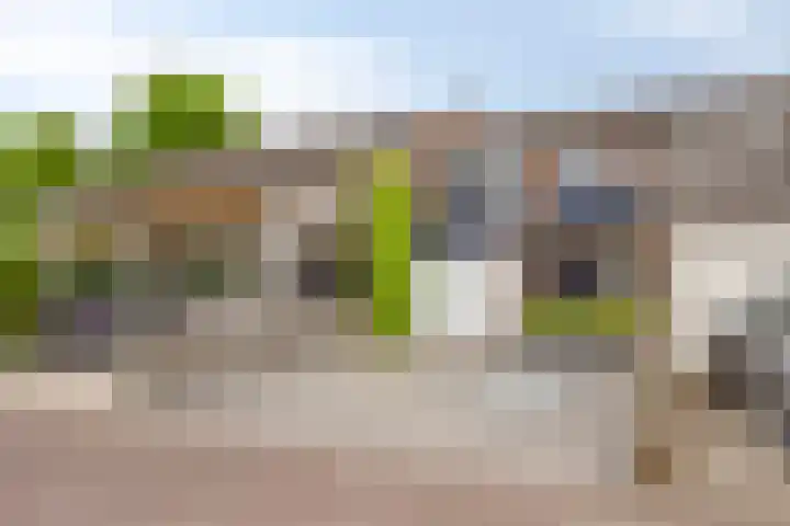 Prinsenhof 5 Heteren thumbnail 6