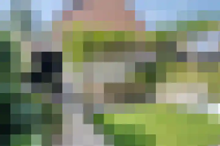 Prinsenhof 50 Pijnacker thumbnail 33