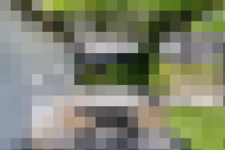 Prinsenhof 50 Pijnacker thumbnail 34