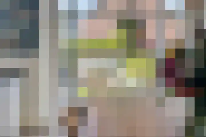 Prinsenhof 50 Pijnacker thumbnail 37