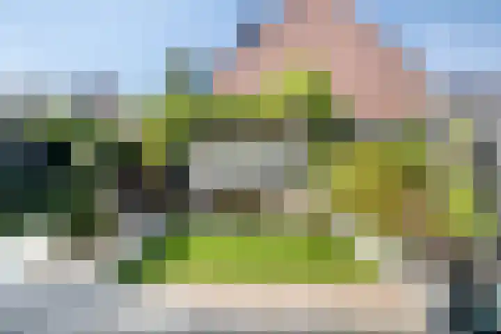 Prinsenhof 50 Pijnacker thumbnail 5