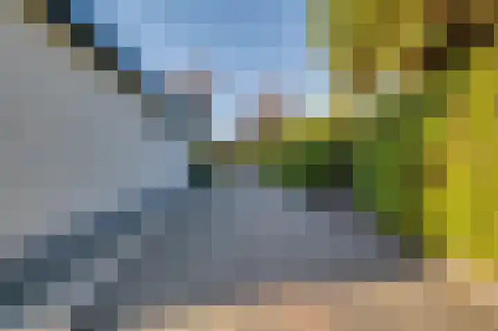 Prinsenhof 54 Ouddorp thumbnail 18