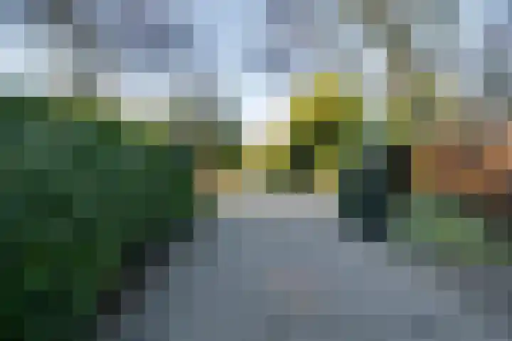 Prinsenhof 54 Ouddorp thumbnail 19